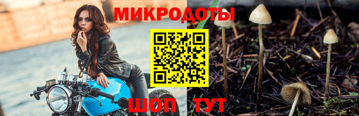 Псилоцибиновые грибы GOLDEN TEACHER  Вход с VPN  купить наркотик  Соль-Илецк 